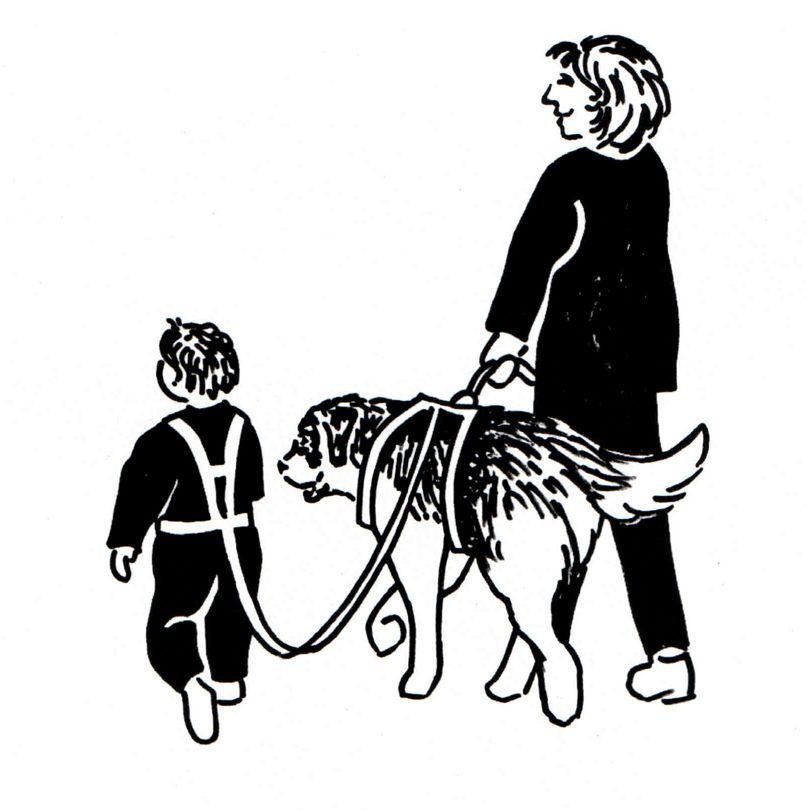 Autism Service Dogs Autism Anchoring Dogs Home