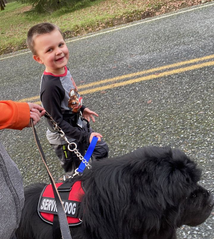 how do service dogs help with autism